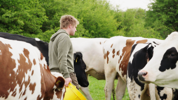 41_BertramDohle_beiseinerHerde_Irgendwerzahltimmer©DOKfilm